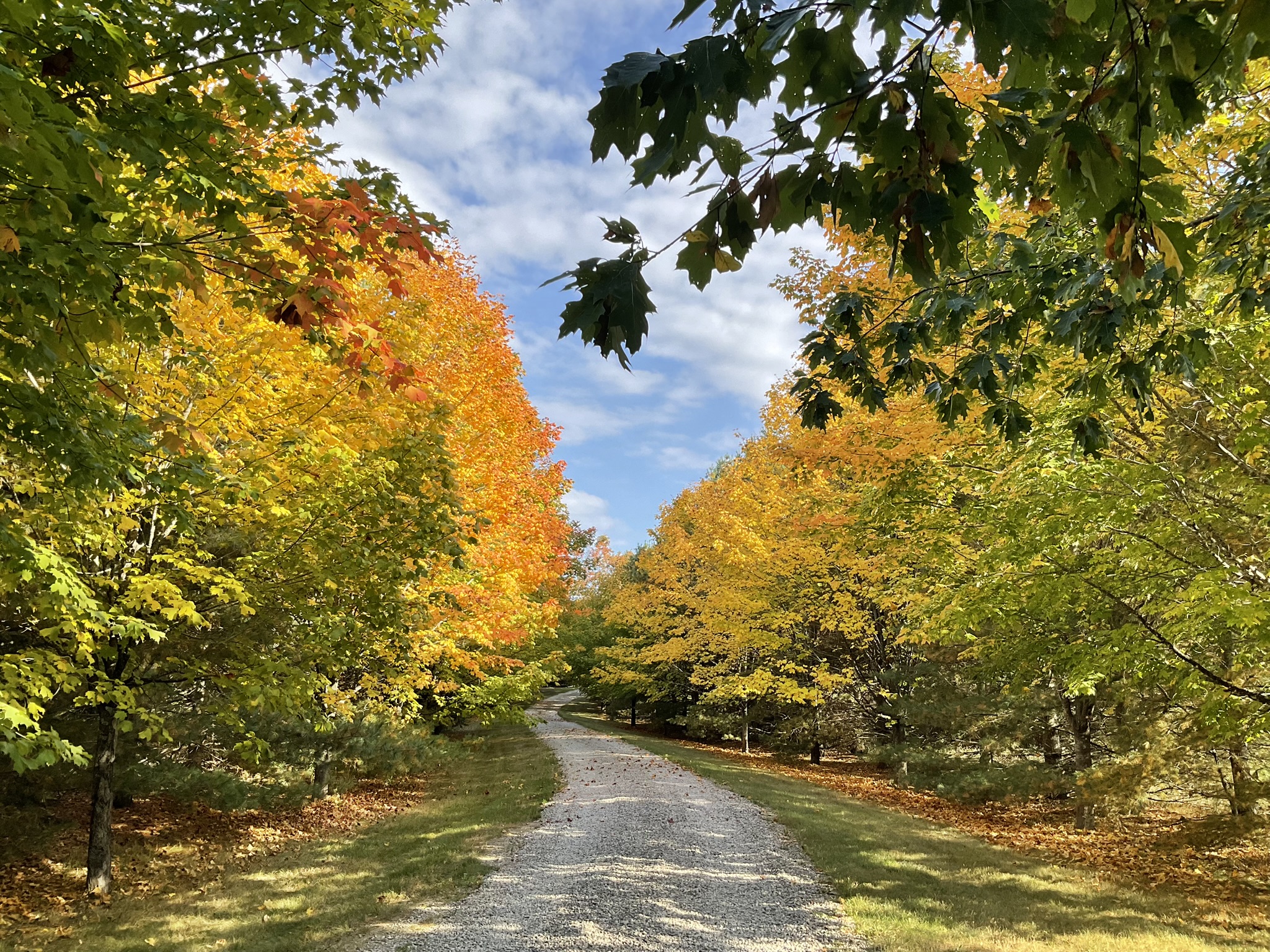 fall drive