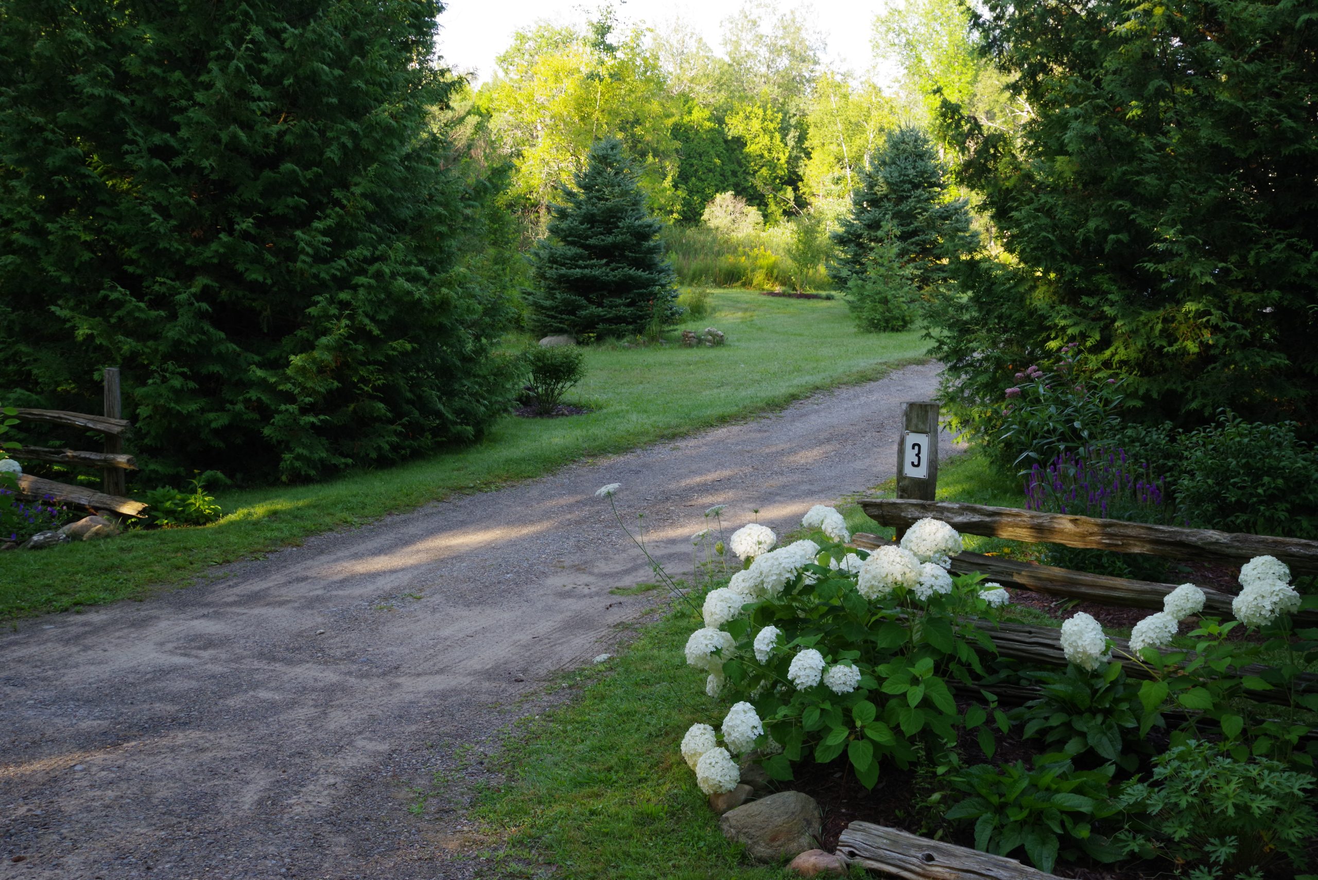 3 McCutcheon - driveway entrance