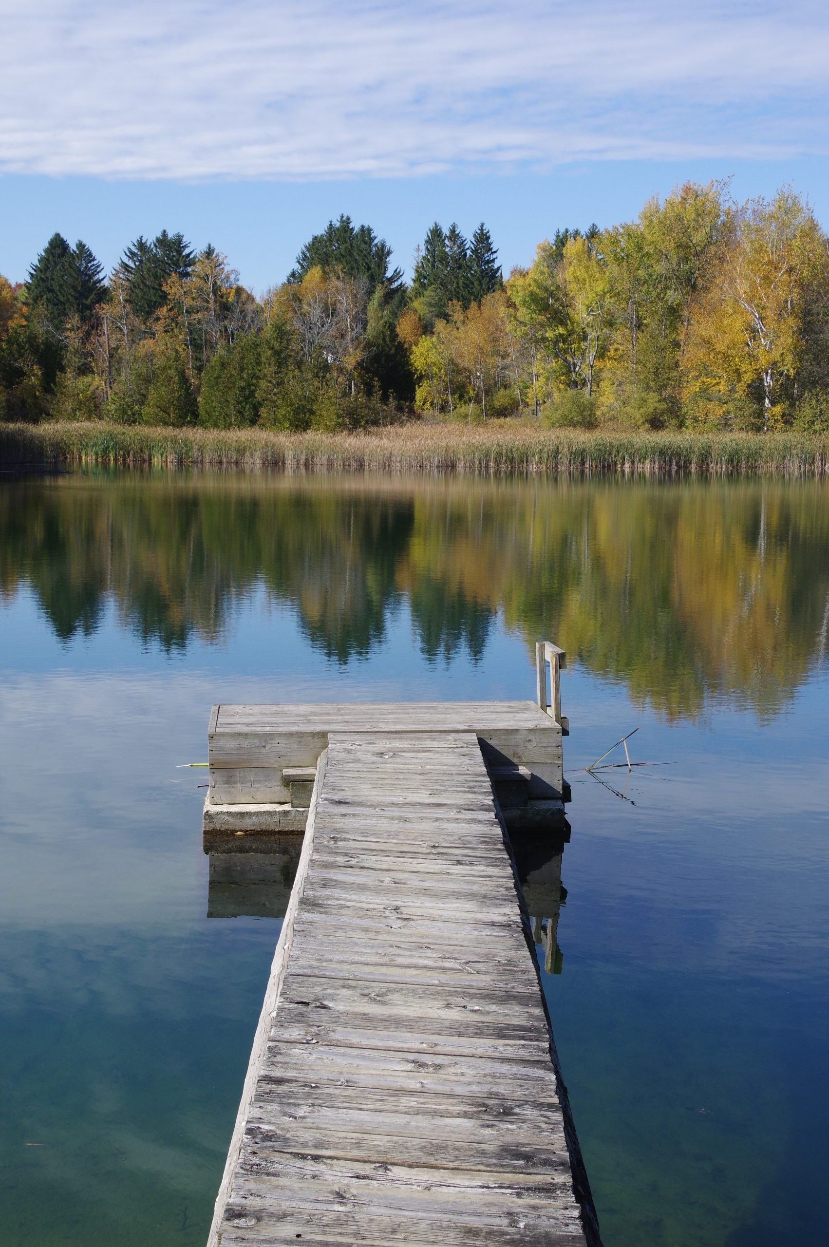 Springwater Lakes common space