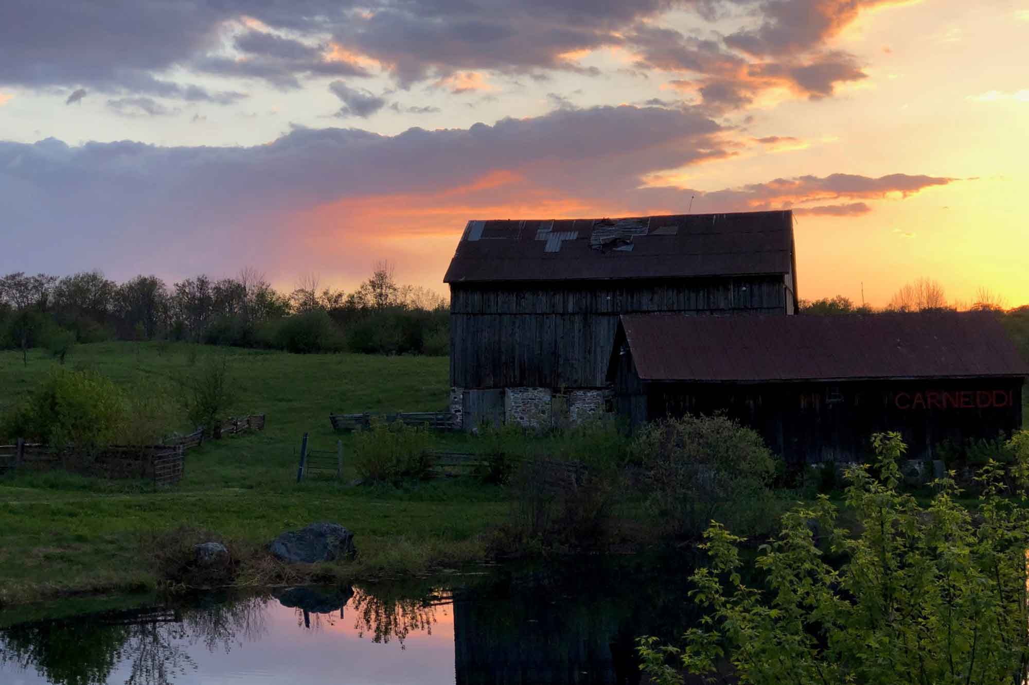 83620 4th Line Mulmur - For Sale