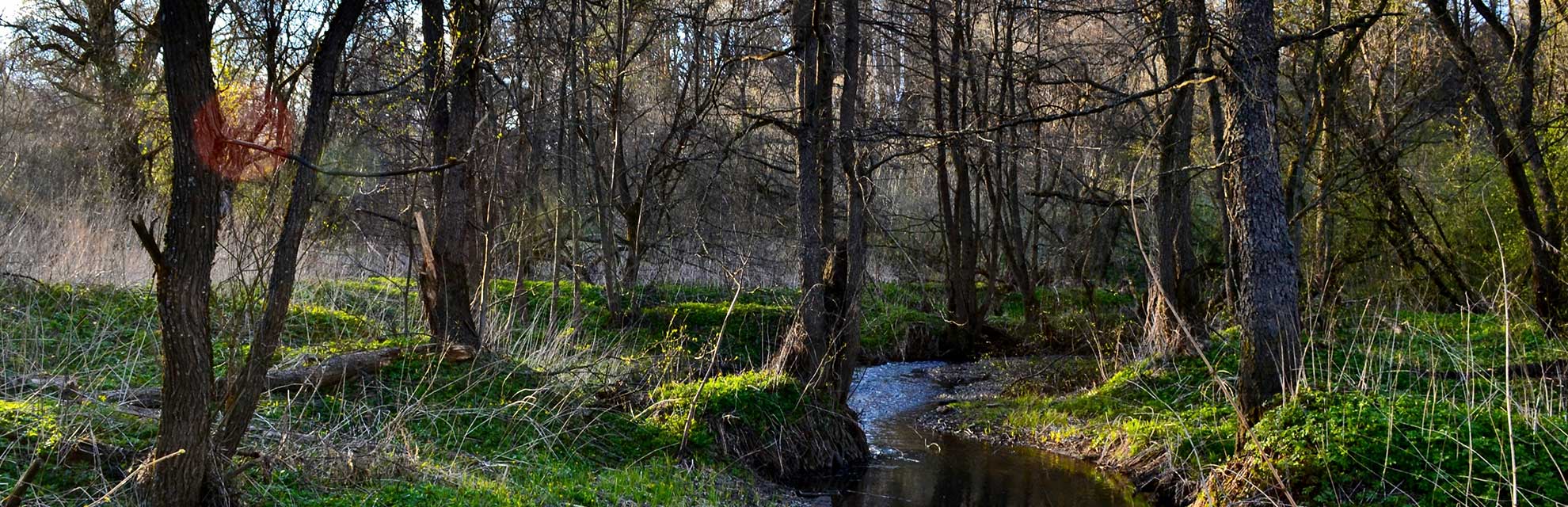 Dufferin County is the source of four major Ontario rivers — the Grand, the Nottawasaga, the Credit, and the Humber. Here is what that means for the people who call this land home.