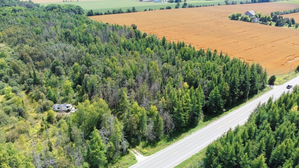 LOT 31 9 COUNTY ROAD